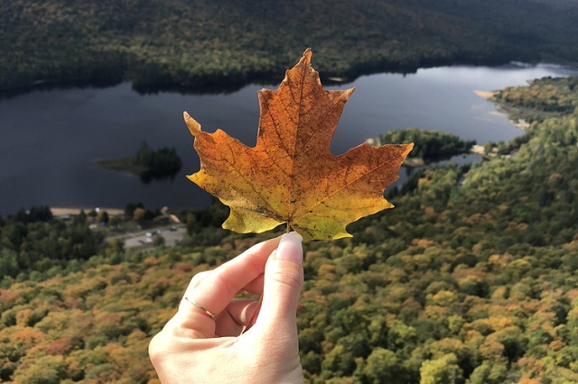 Automne 2020: les activités incontournables dans les Laurentides