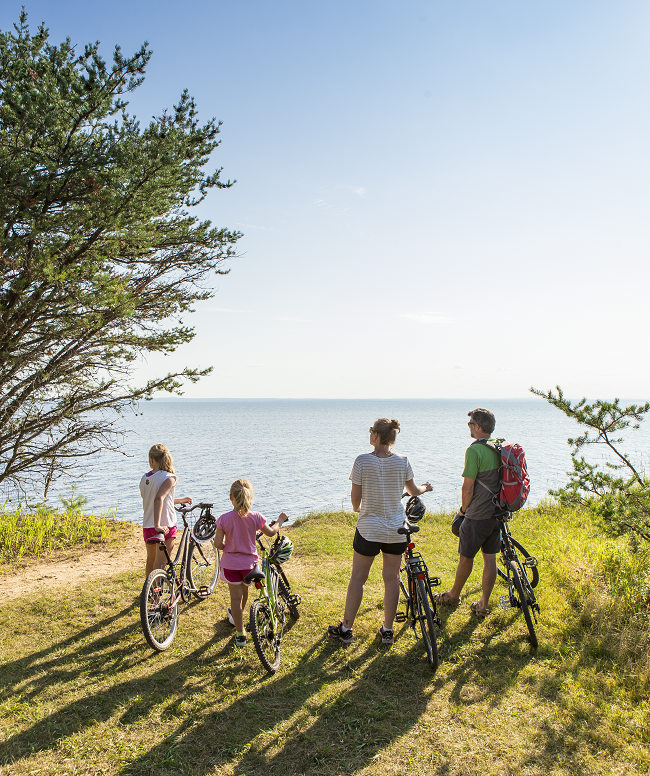 Vélo: 6 endroits à essayer dans les parcs nationaux du Québec