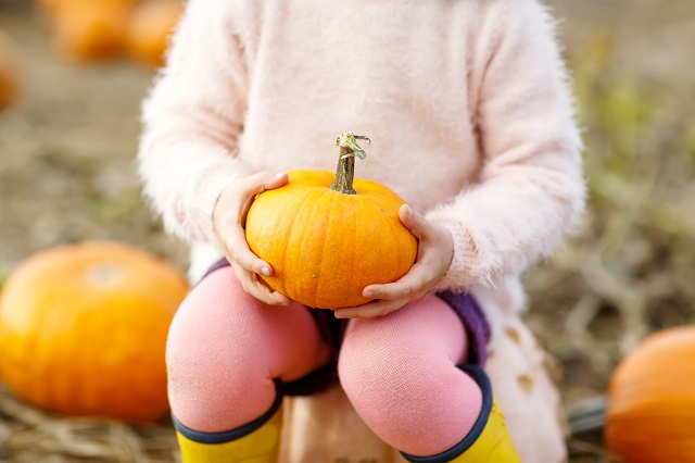 9 endroits où faire l’autocueillette de vos citrouilles cet automne