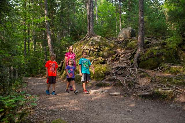 Faites le plein d’énergie avant la rentrée scolaire dans les parcs nationaux du Québec