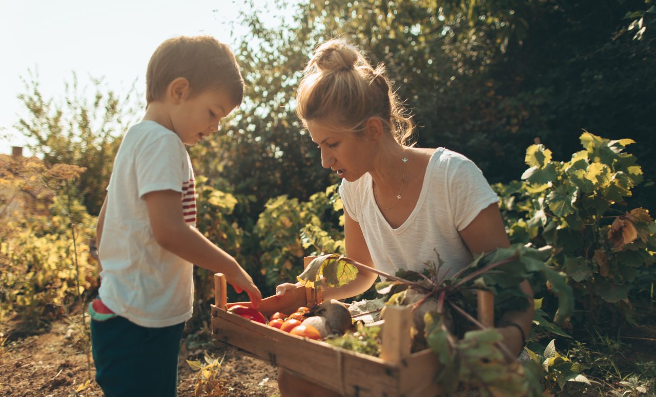 7 aliments qui peuvent être toxiques (s’ils sont mal apprêtés)