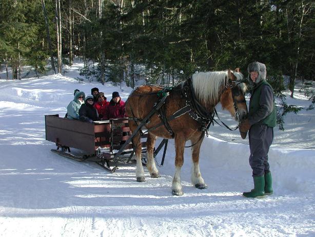 8 activités pour bouger dans les Cantons-de-l’Est durant le congé des fêtes