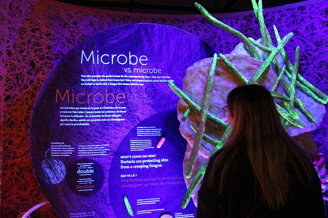 Exposition Microbes Musée canadien de l'histoire