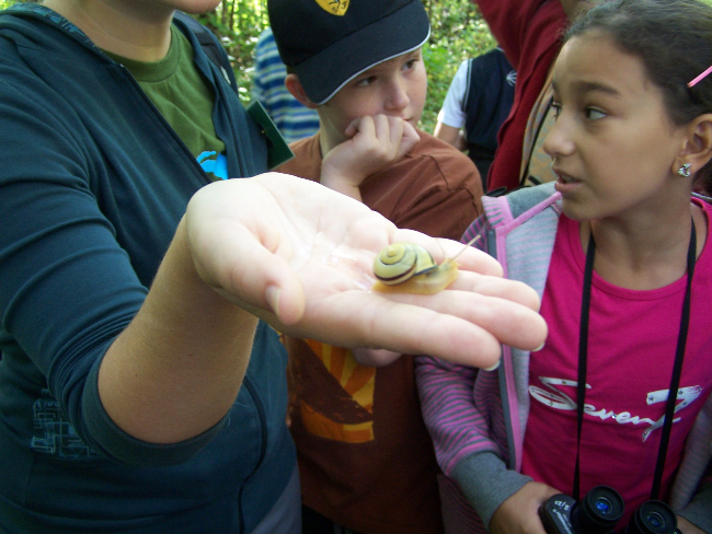 apprendre en amusant pour petits et grands charlevoix