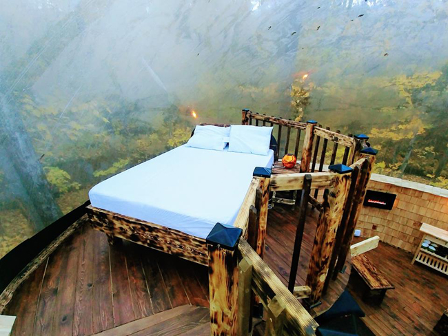 camping lit dans une bulle en nature