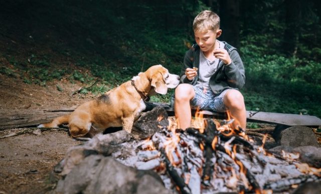 enfant et chien dans un terrain de camping