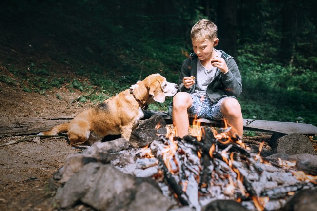 enfant et chien dans un terrain de camping