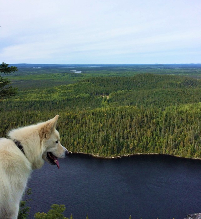 Automne 2020: 4 endroits à visiter pour découvrir Eeyou Istchee Baie-James