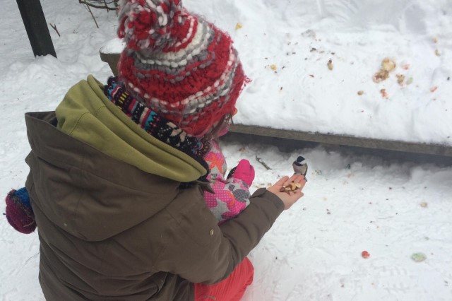 quoi-faire-a-noel-en-abitibi