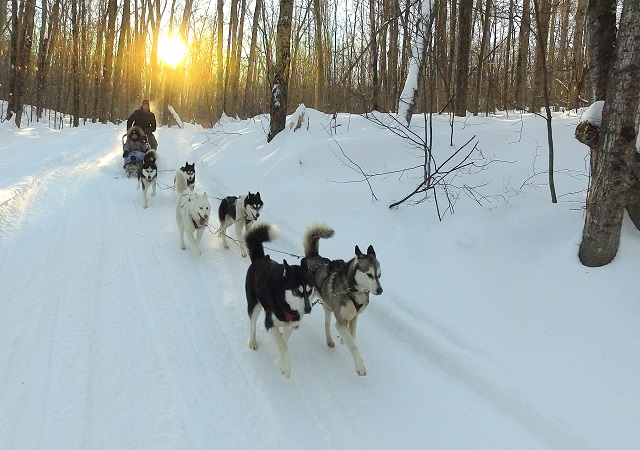 5 activités à faire dans les Laurentides pendant les vacances de Noël 2020
