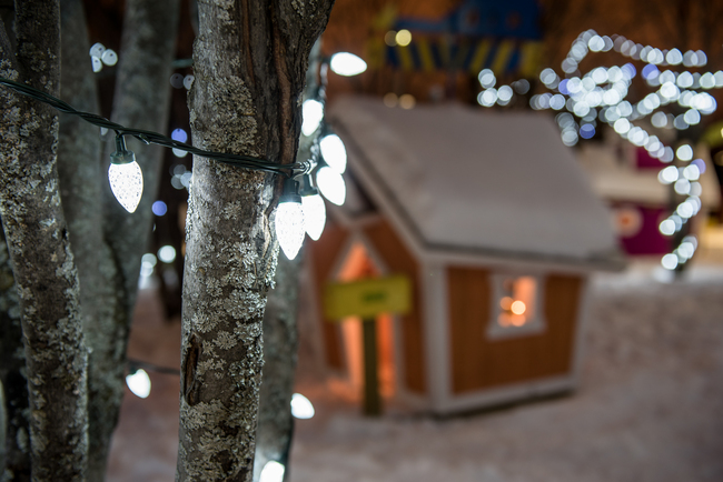 Autres petits plaisirs hivernaux