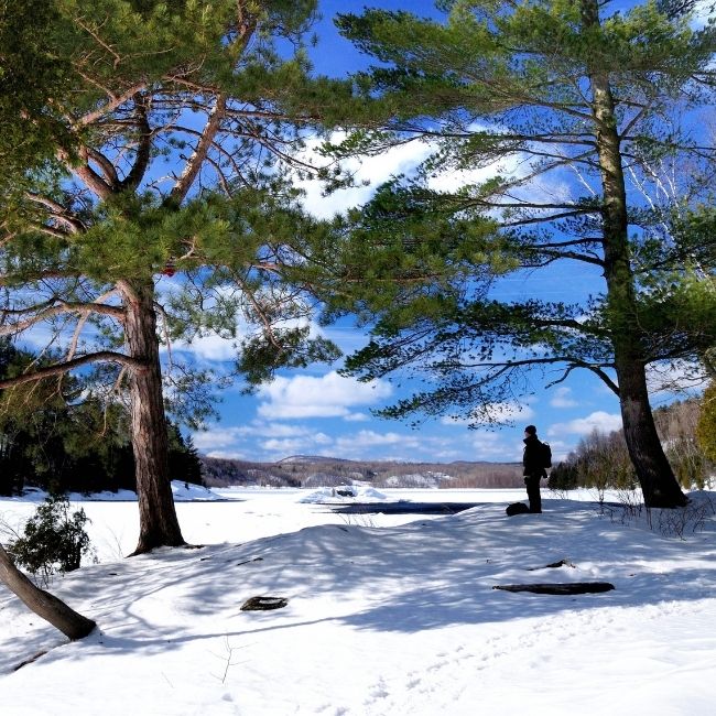Parc de l’île Melville, un petit paradis en pleine ville