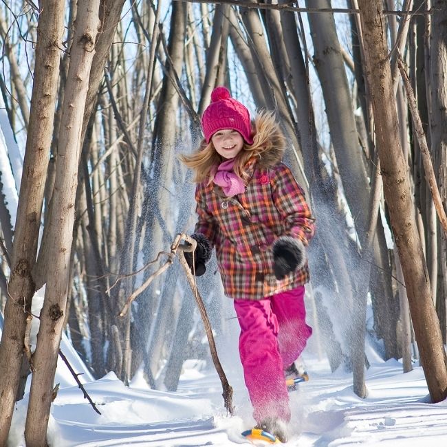 Promenons-nous dans les bois