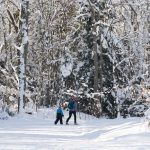Ski de fond: petit guide pour pratiquer ce sport en famille