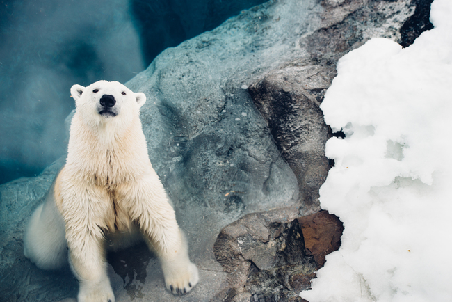 ZooSauvage-3_Tourisme_Saguenay-Lac-Saint-Jean