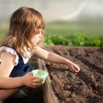 Potager-jardin petit-guide-faires-semis-famille-vifa-magazine