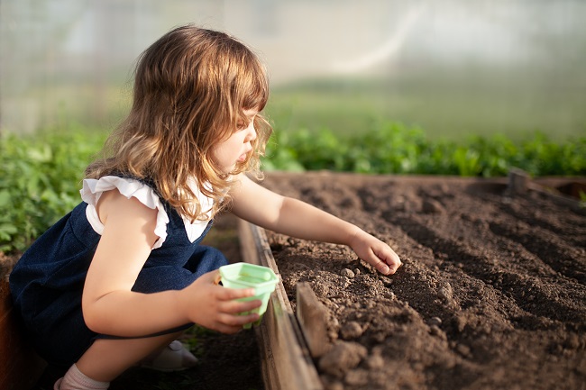 La germination: 3 étapes faciles pour faire pousser de la nourriture toute l’année à la maison
