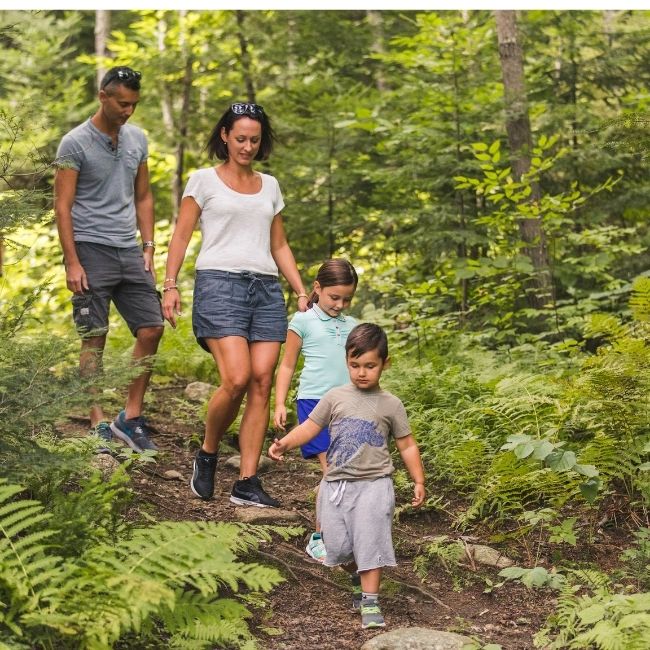 Marcher dans la forêt mauricienne