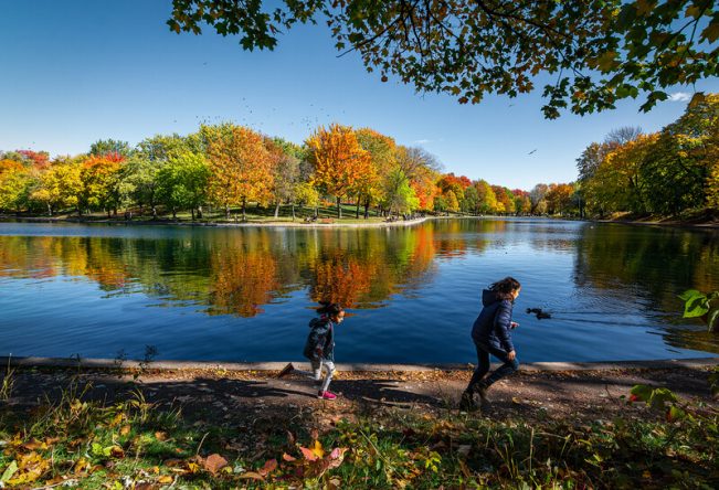 Automne 2021: 8 activités pour profiter de Montréal