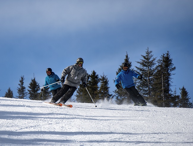 groupe de gens qui pratiquent le ski alpin
