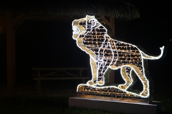 lion illuminé
