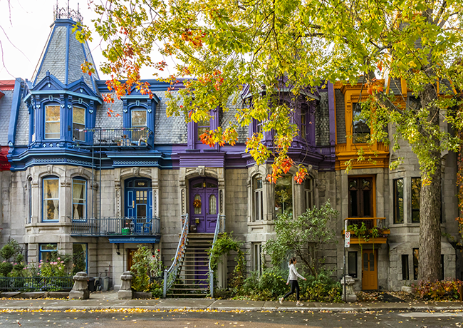 Quoi faire à Montréal cet automne : 5 idées d’activités
