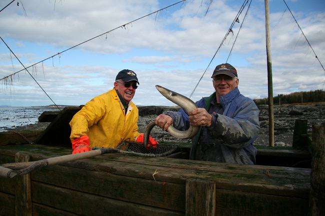 hommes à la pêche à l'anguille