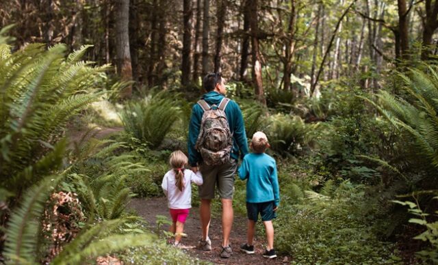 Father, son and daughter walking through a forest in Washington state.
