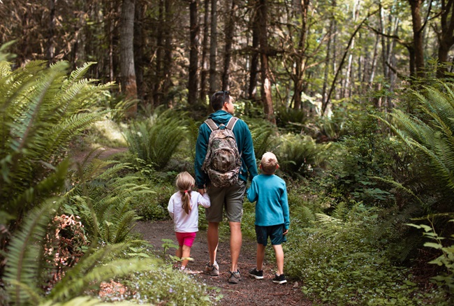 Father, son and daughter walking through a forest in Washington state.